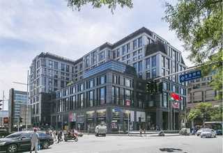 山西精華乳液推薦