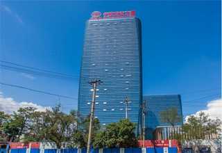 南京抹茶味妙茶酒銷售