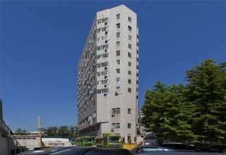 山西復(fù)合護(hù)樹(shù)板價(jià)格多少