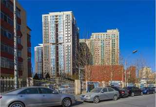 東莞可調(diào)式腳蹼