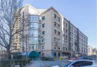 曲靖富源一代花魔芋種子報價