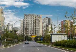 杭州優(yōu)級胎牛血清